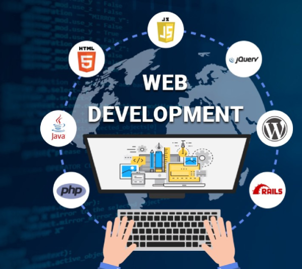 Professional Web Development Services