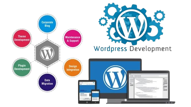 How to Choose a WordPress Development Company?