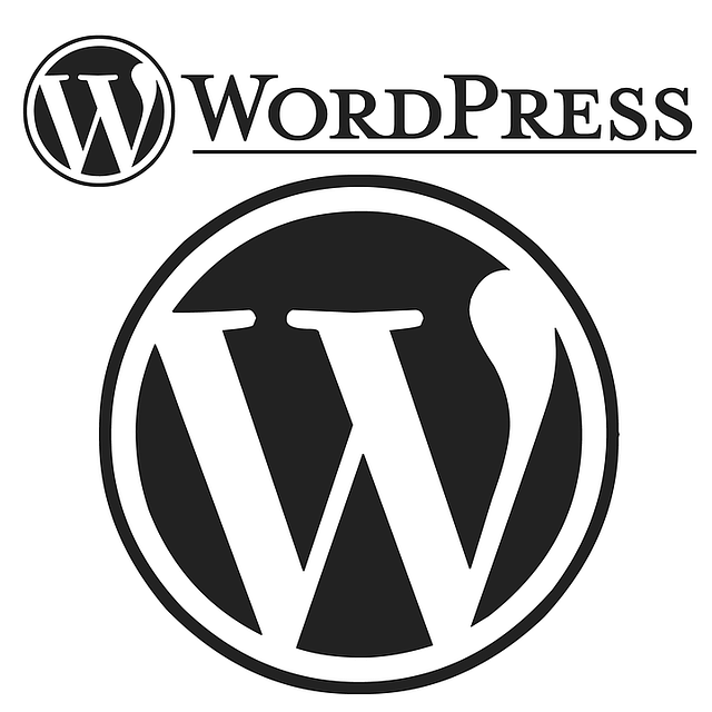 WordPress Website Development Company in India